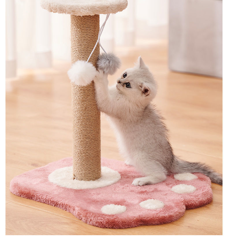 96d3949d-b42c-445b-9d72-8b17014da813.jpe