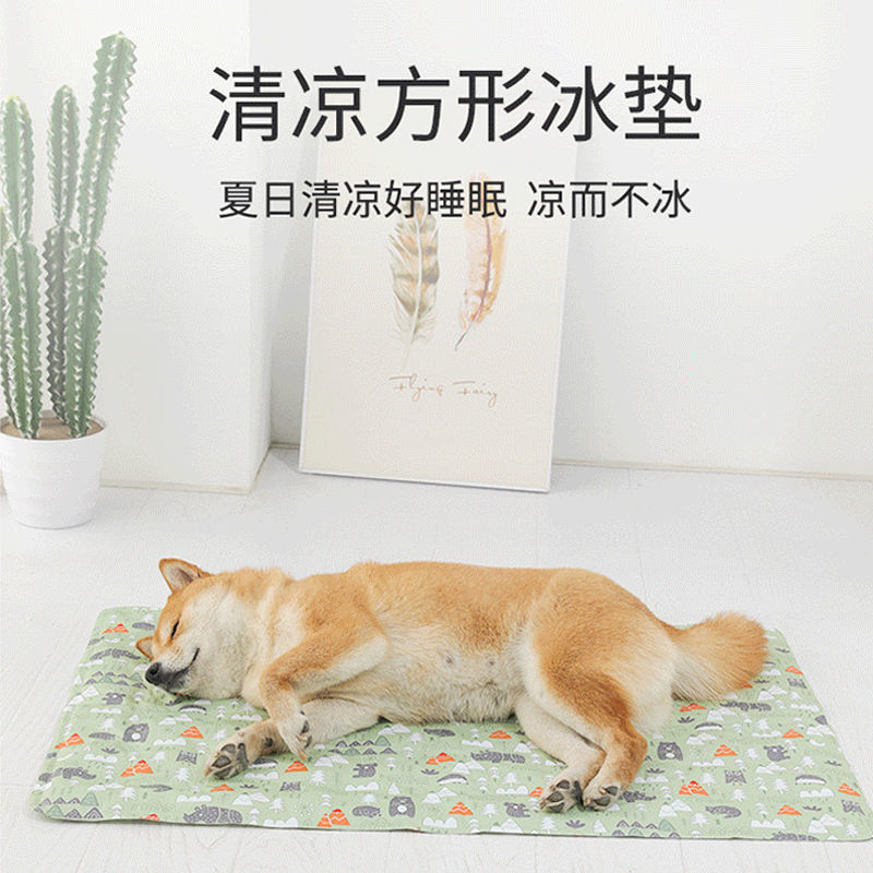 2a3e0530-51a0-4886-b738-82c9ae090eb4.jpe