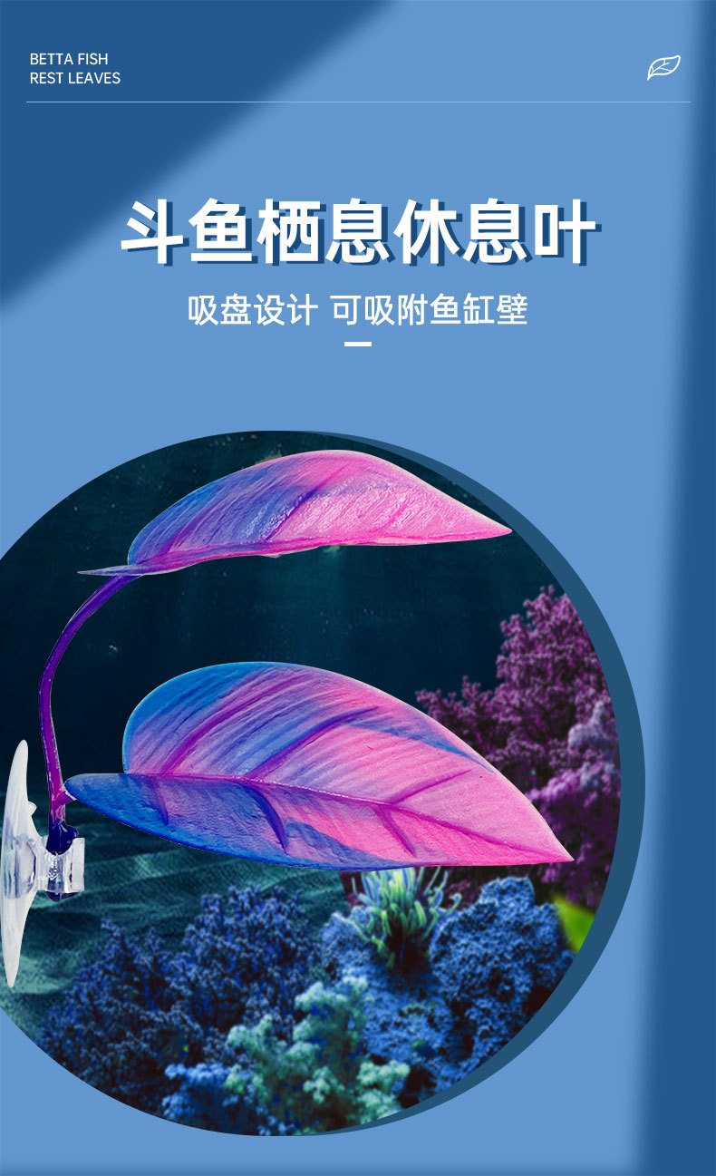 详情-叶子_01.jpg
