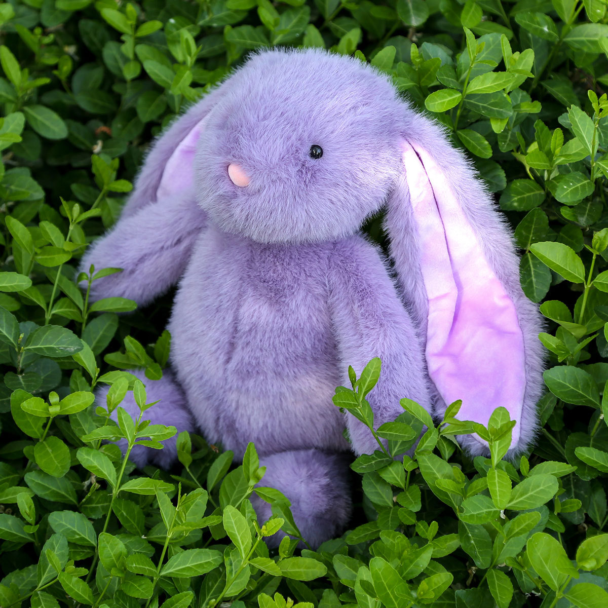 详情-妮妮兔 (6).jpg