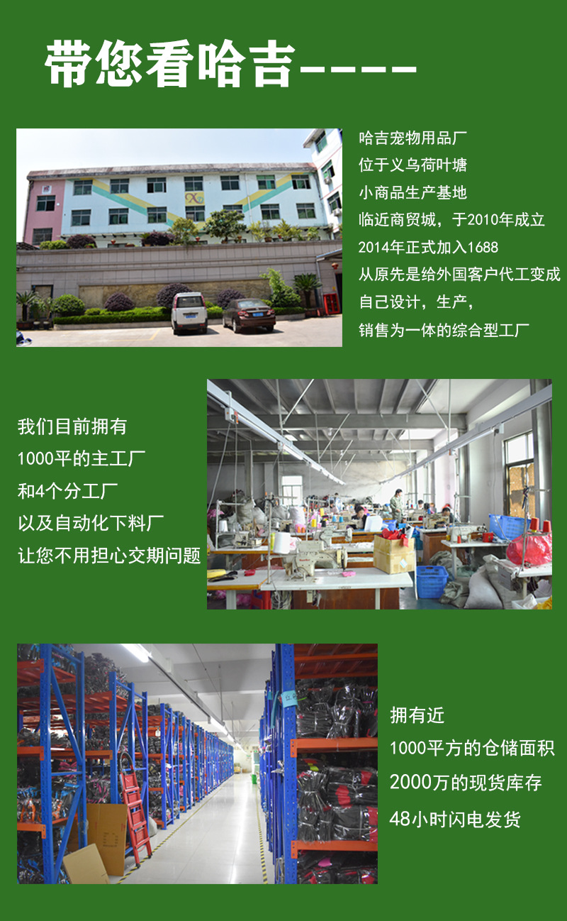 哈吉实力