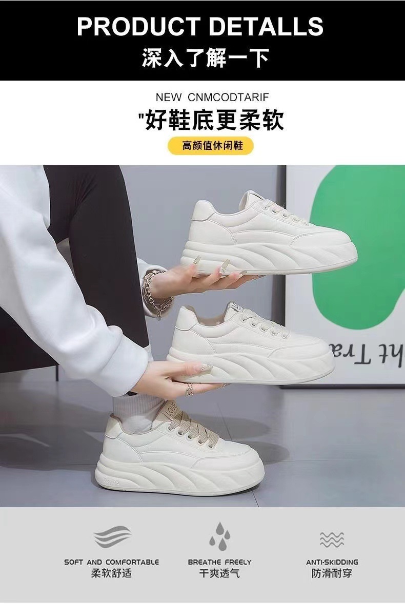 微信图片_202409121733312.jpg