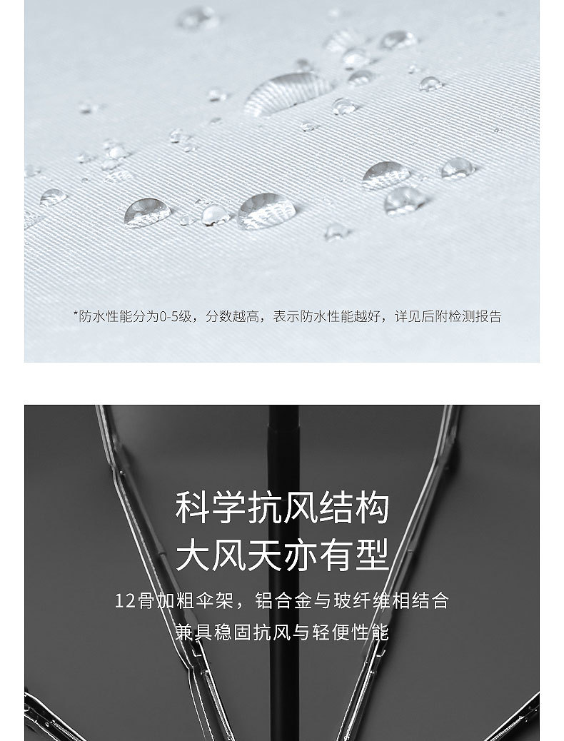 手机端图片5