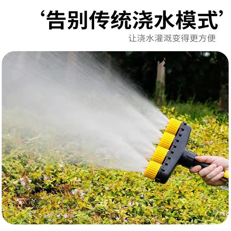 ff4ebe77-c58f-4e6f-adf0-22e24442b300.jpe