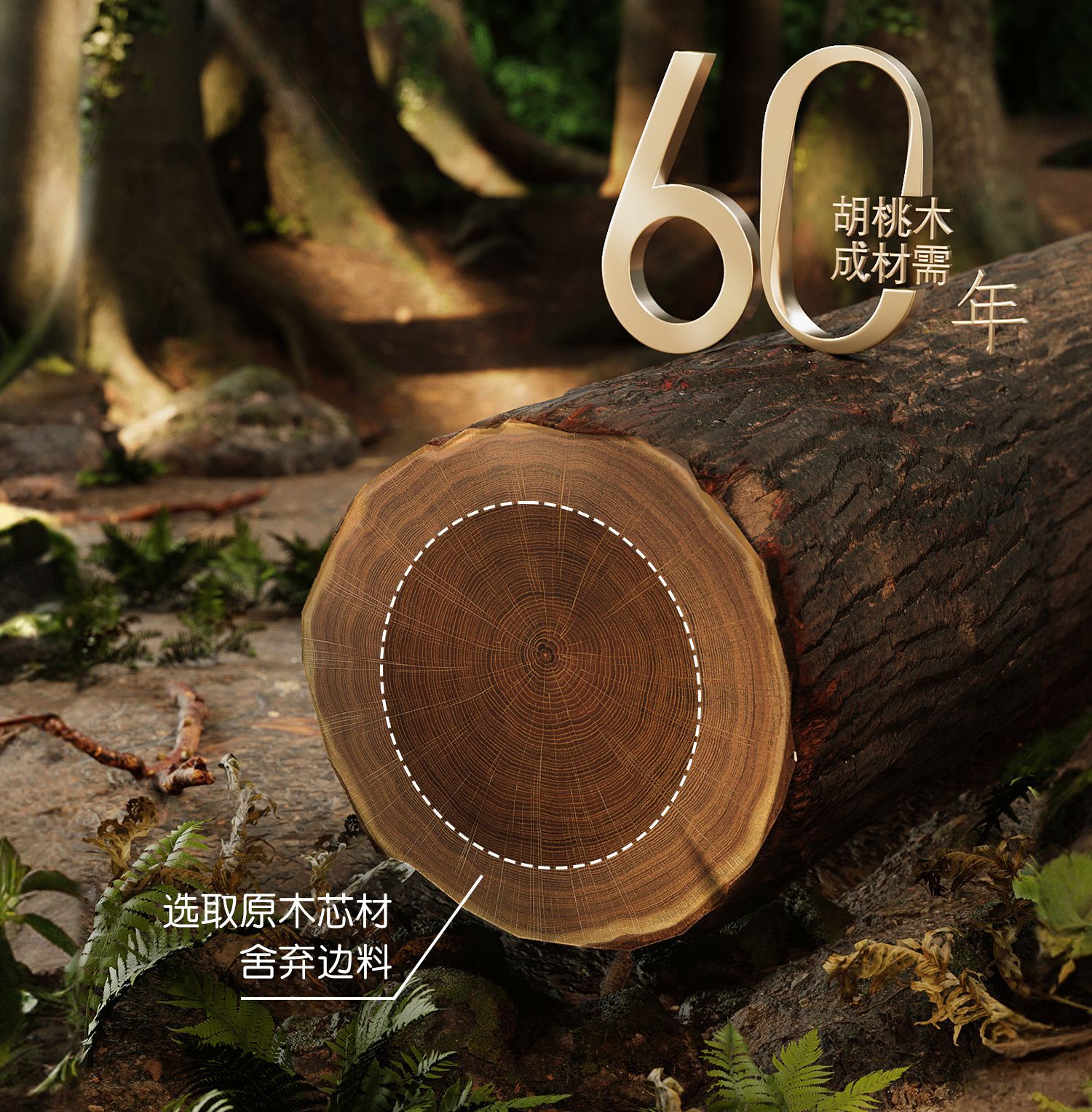 详情-15.jpg