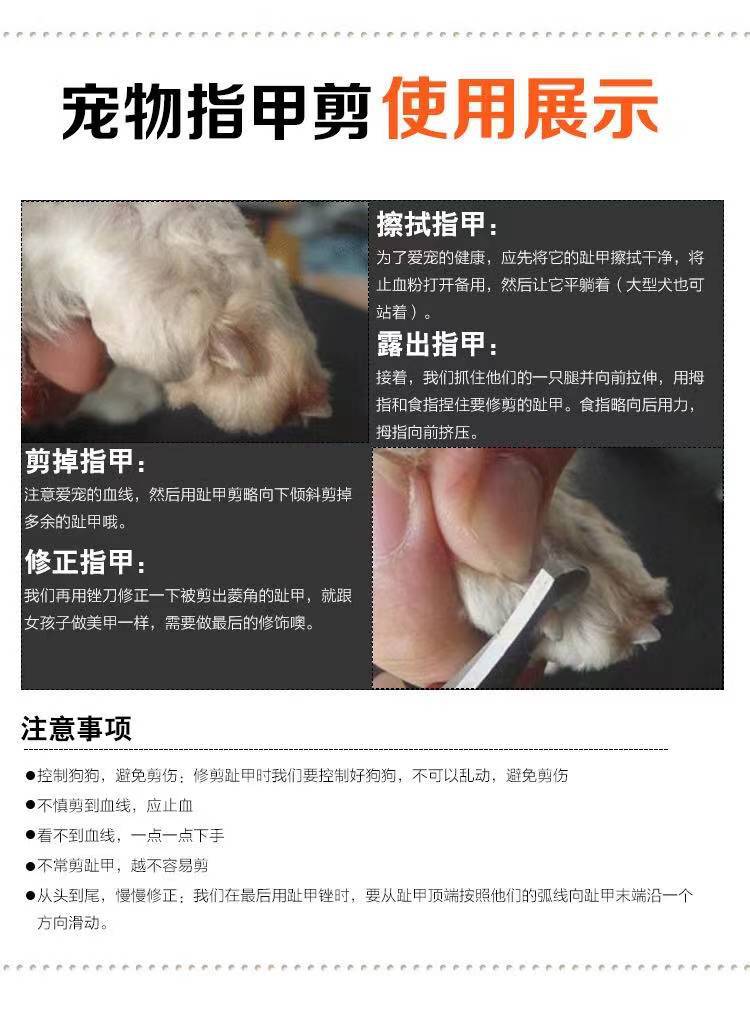 微信图片_202110100855237