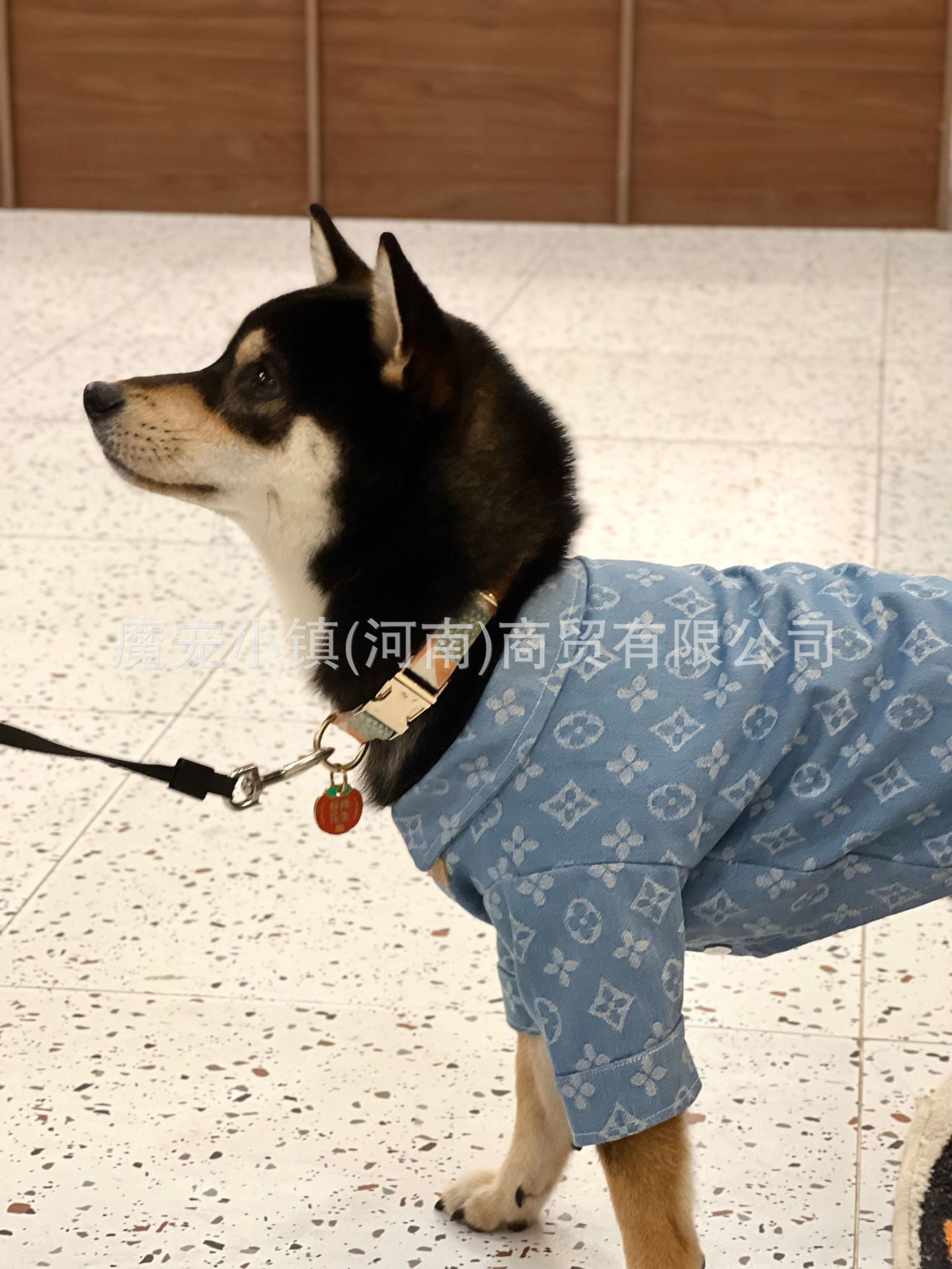 2023-03-08 210805.jpg