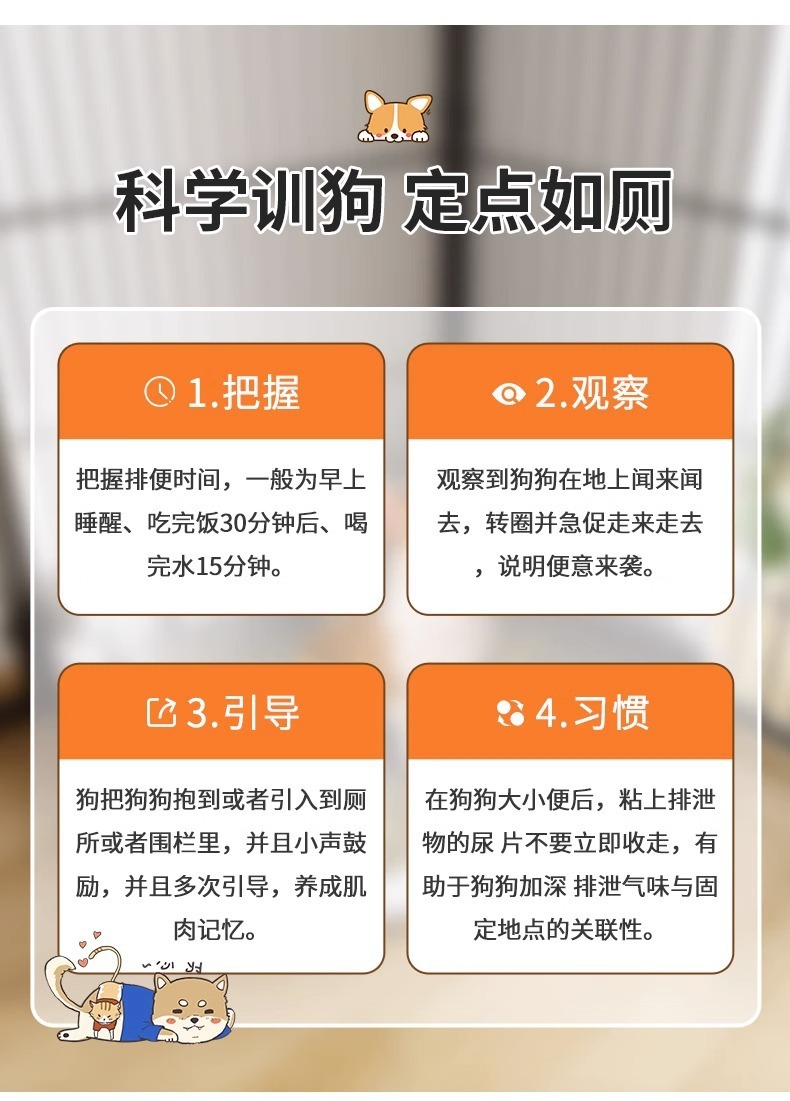 5fe62b42-b8bb-4a87-8b55-d53539f54de4.jpe