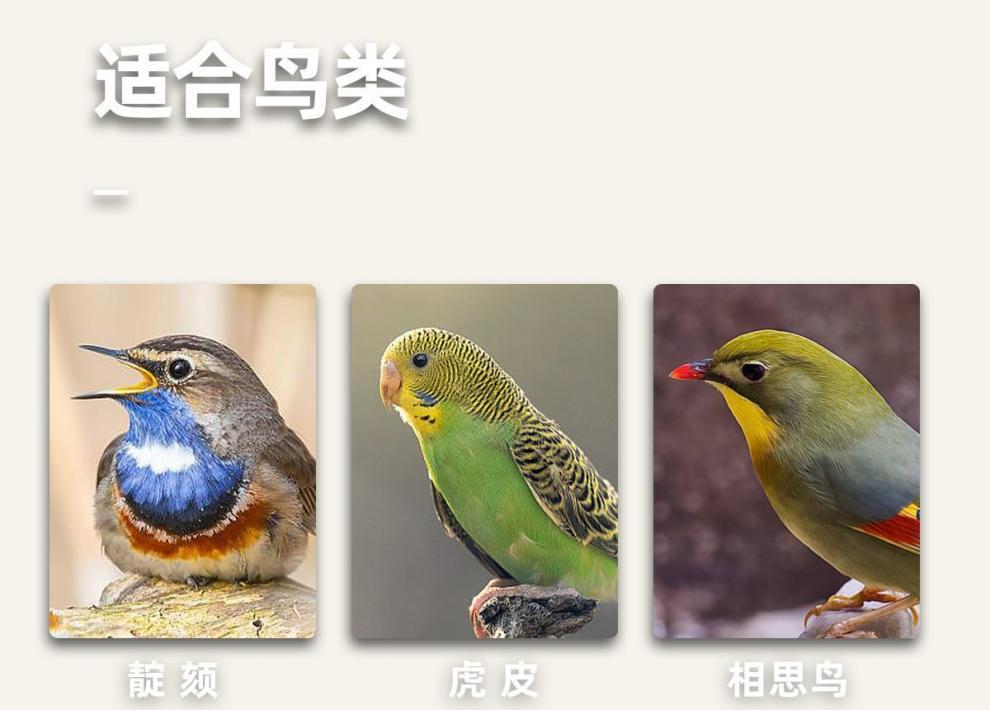 a3881ba2-ded1-4c47-b090-938e62fc6136.jpe