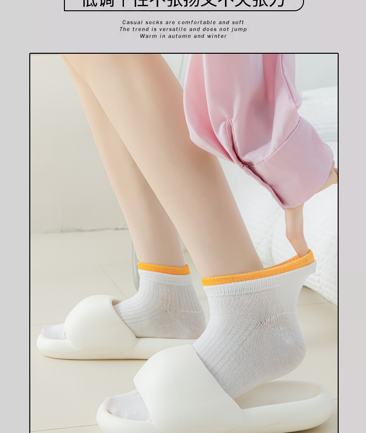 一键复制_20240410180251