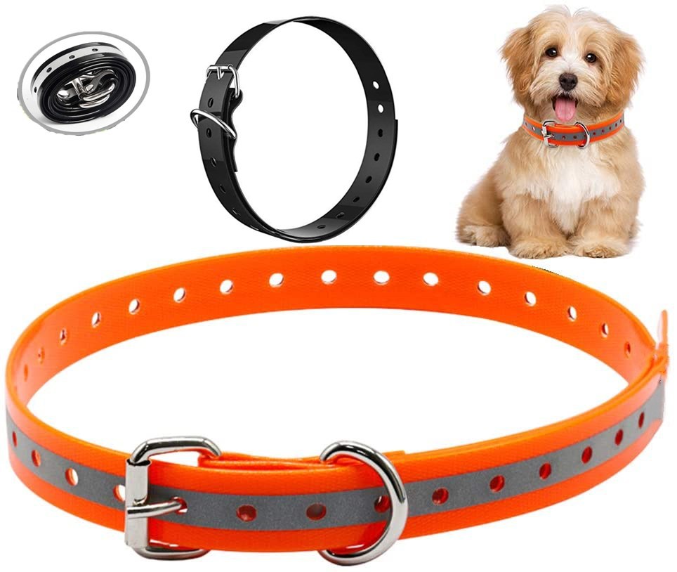 DOG COLLAR1
