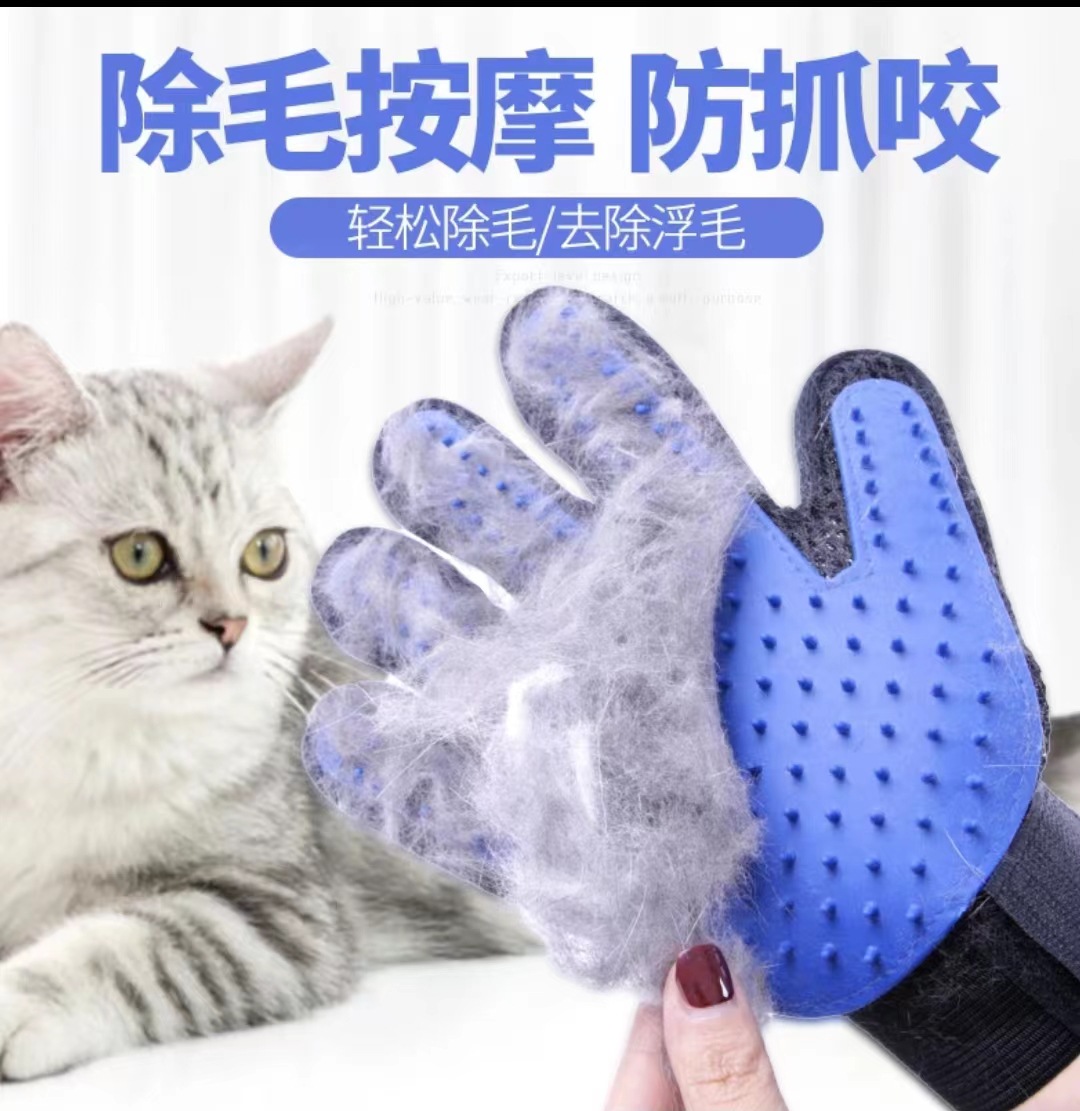 微信图片_20230531075927