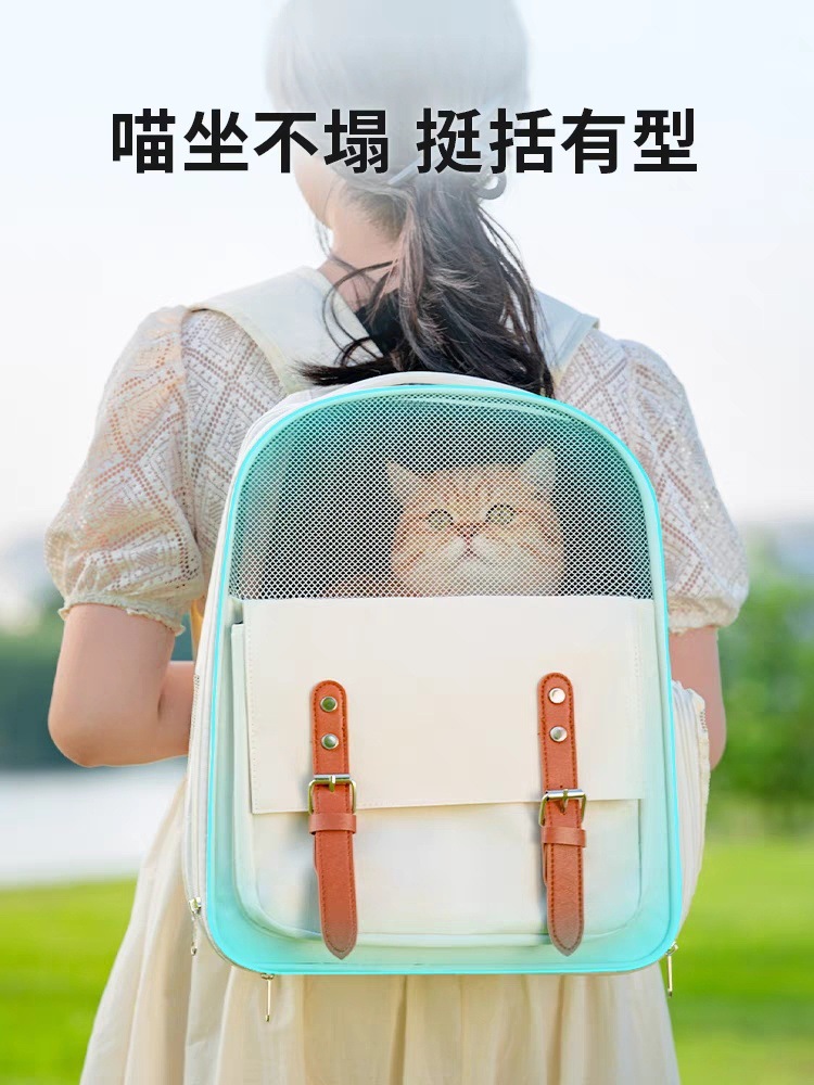 3cb78a3e-d307-4a3b-8883-455a58fec768.jpe