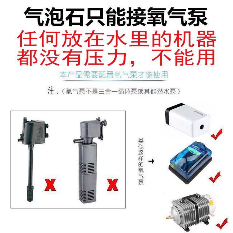 a0115b9f-a673-4772-8b02-5df91fb7b1bd.jpe