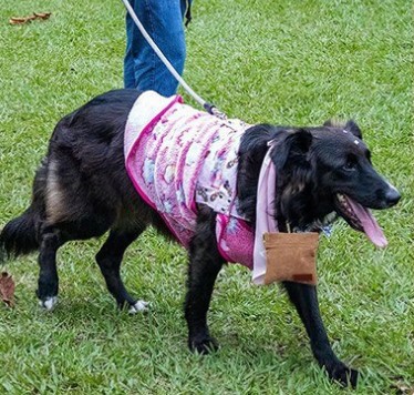 屏幕截图 2024-04-20 132607.jpg