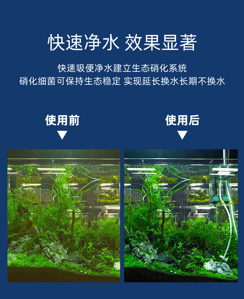 acebf3cb-39ed-4167-ad34-c6adec96b18f.jpe