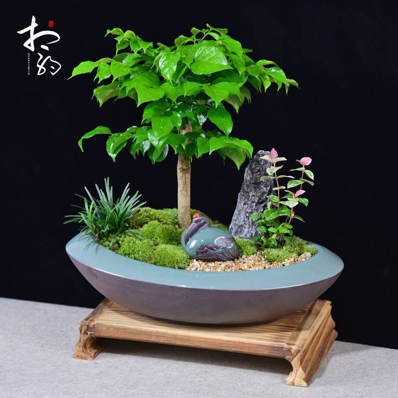 QQ图片20221109203655