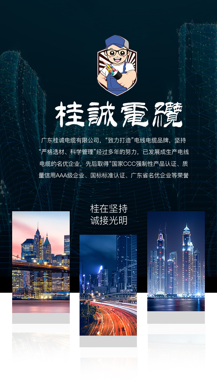 桂诚电缆详情BVR_01.jpg