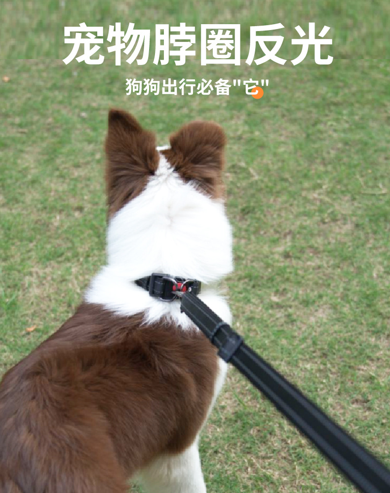 狗绳_01.jpg