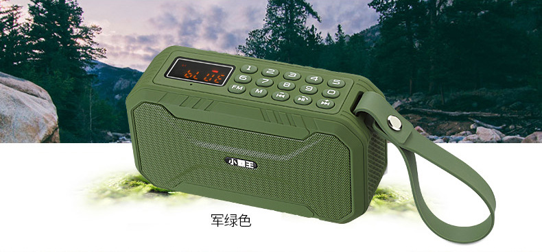 D100_15.jpg