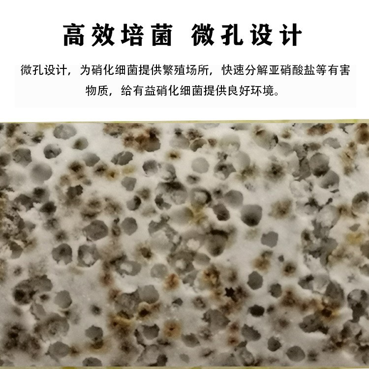 O1CN01xjhVNy1pmcd4oPORg_!!2366