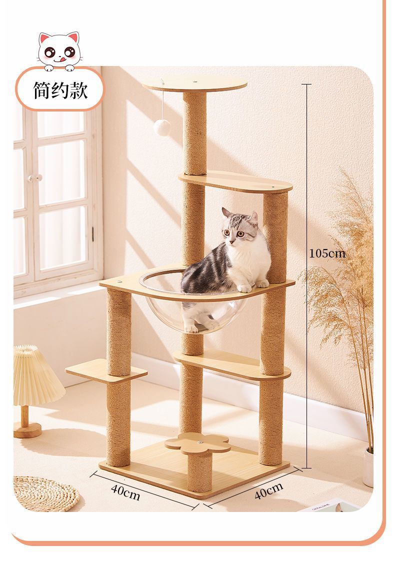 5fd57382-8b23-4b2c-a6bb-6e78fd89650e.jpe