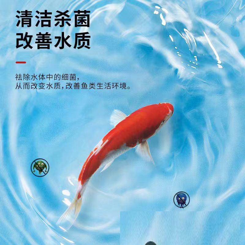 O1CN01toMiDu1JbZVXp38g3_!!2215