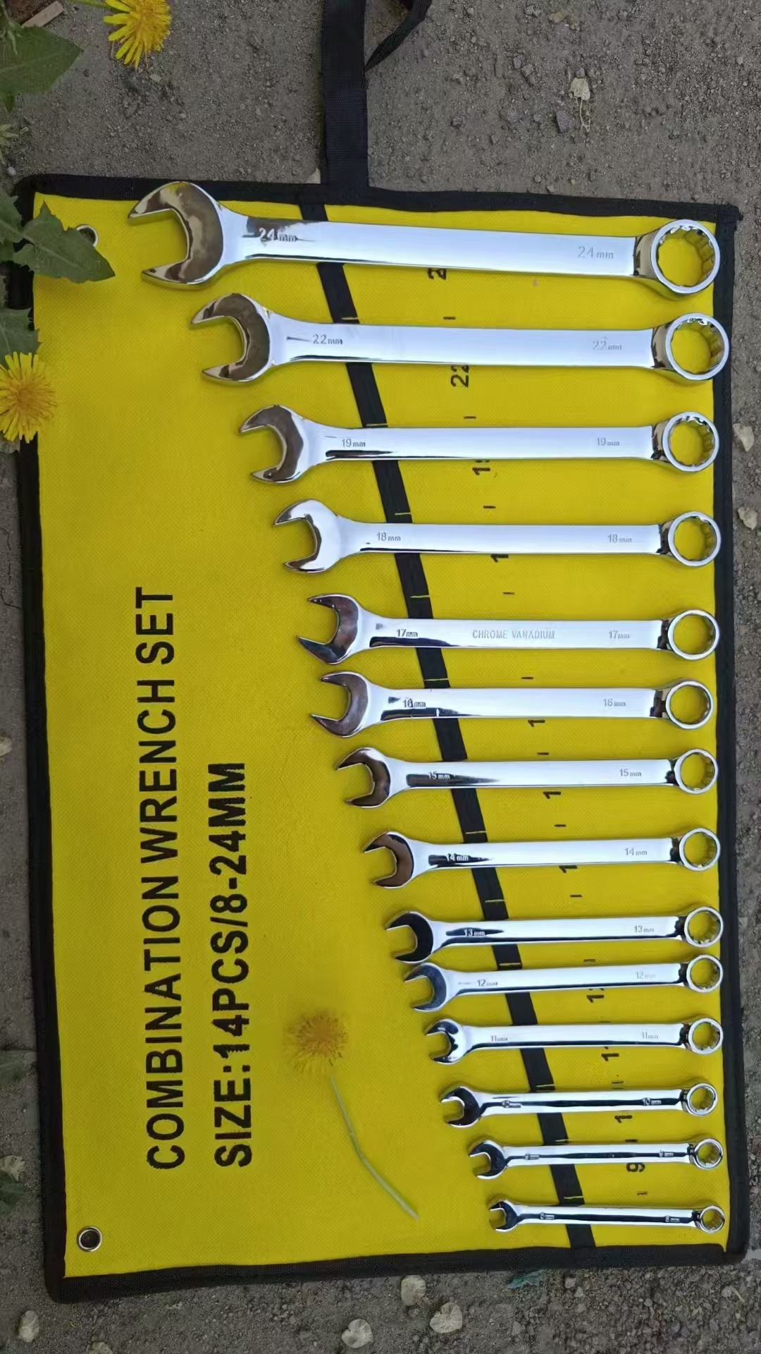 微信图片_20250626151519