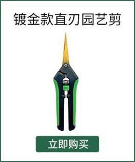 镀金款直刃园艺剪.jpg