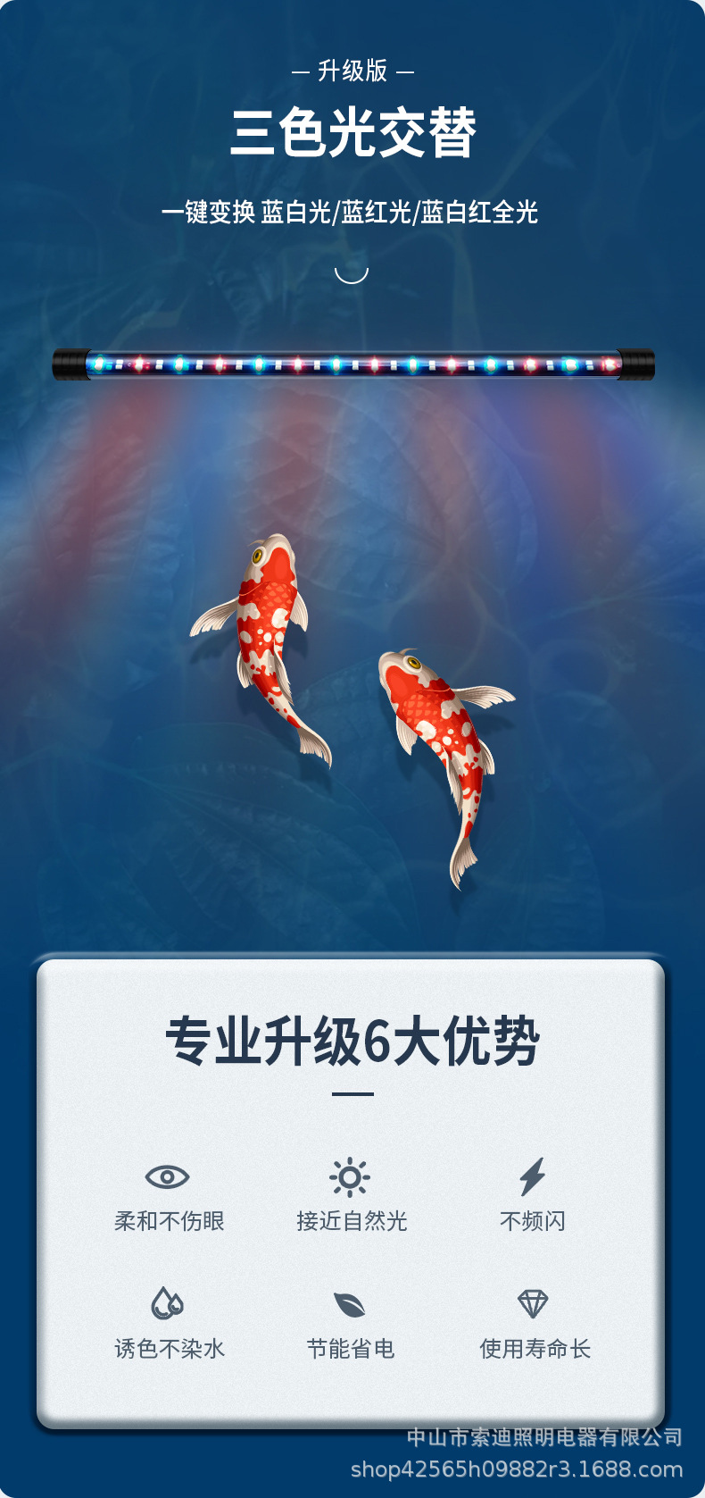 潜水灯_04.jpg