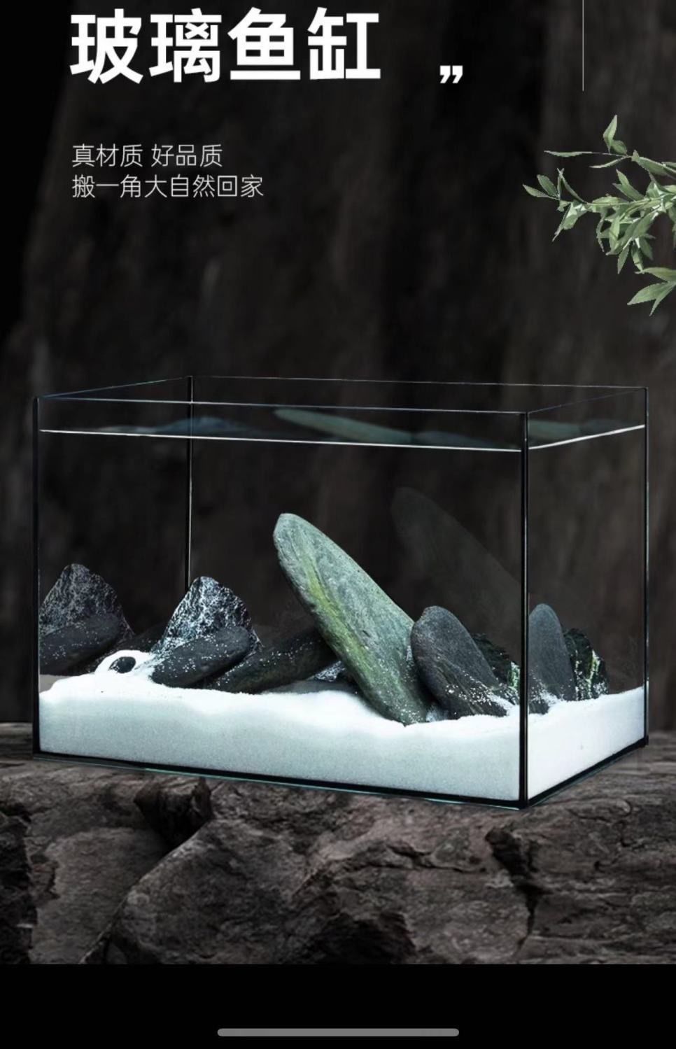 29f59ee2-0a65-4335-86b1-6af84ac5f878.jpe