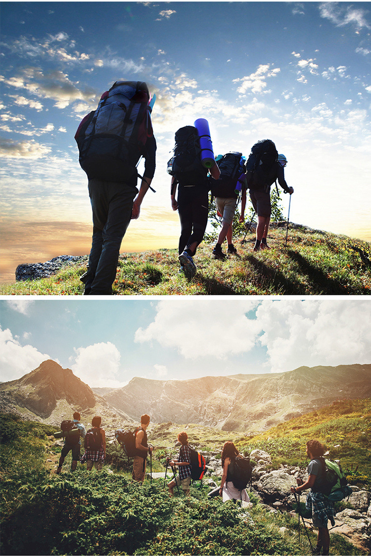 8875ccc4-6f00-410f-bf23-d504be6ba9f0.jpe