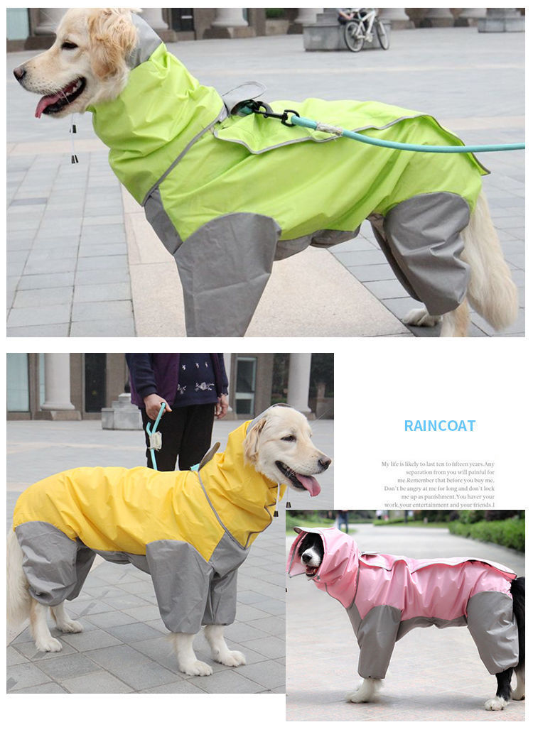 0459803c-b330-4c43-bdc7-491364f85d83.jpe