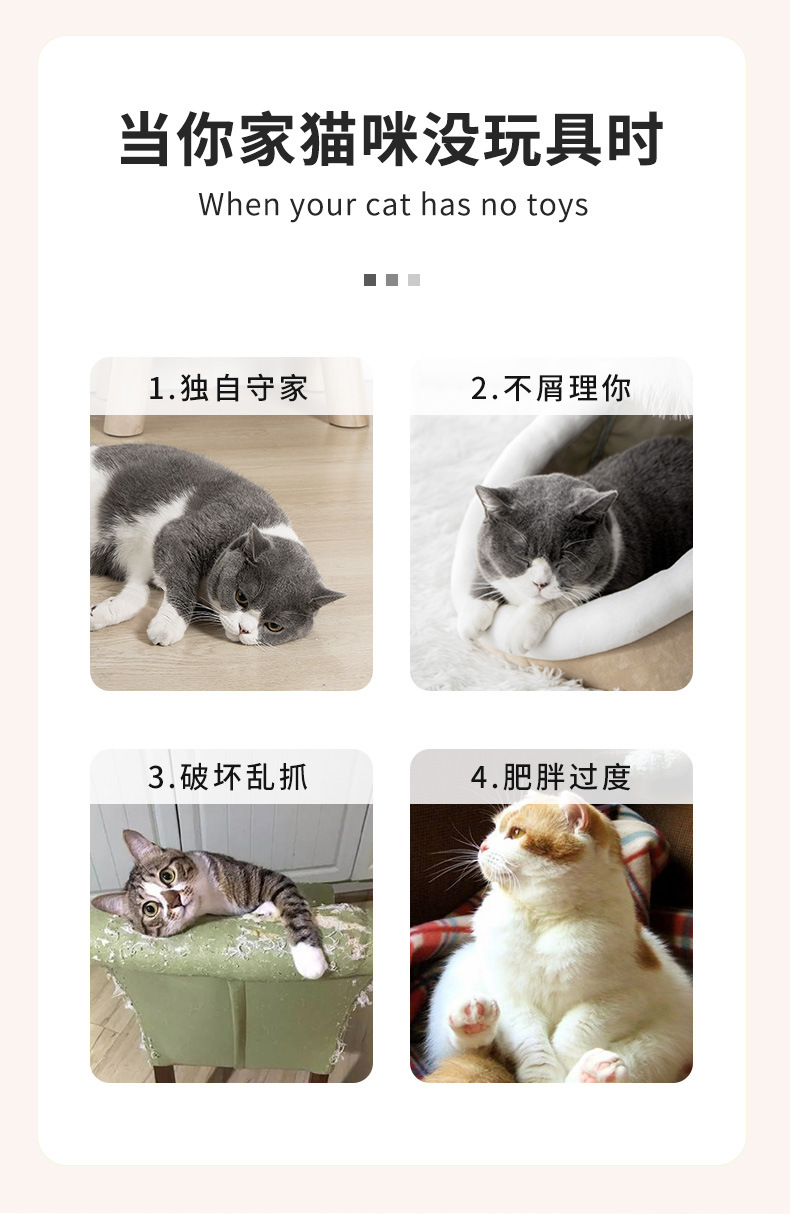 彩虹猫抓球_03.jpg
