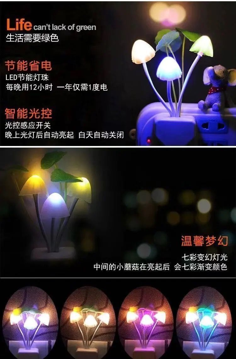 56f3fd53-f38e-4b4a-a065-e384d9bed82e.jpe