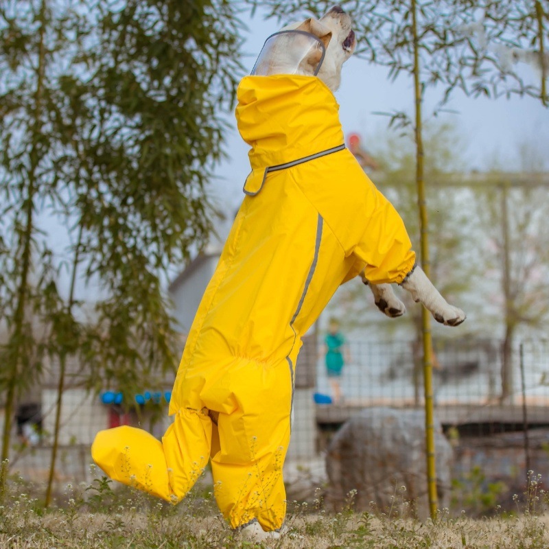 84f90afb-36ca-4542-8dbd-95759c908fa7.jpe