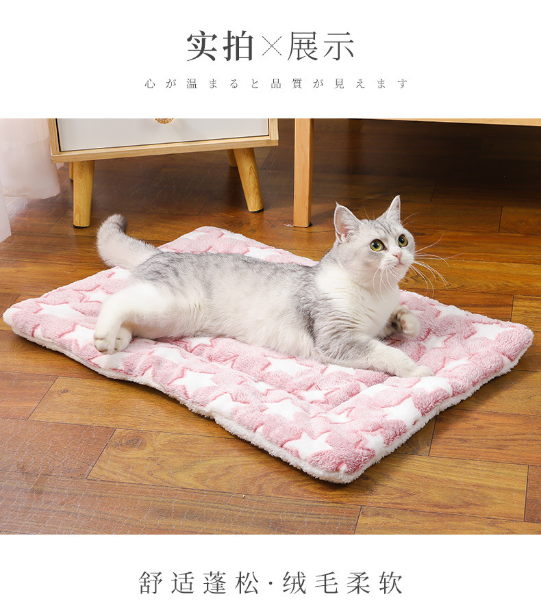 77f9567f-76fc-4ea2-a8b7-16ff70a40831.jpe