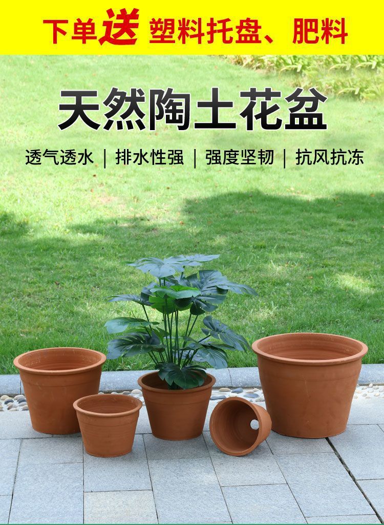 f29a58ab-a5d1-4268-b52e-60f7860384f3.jpe