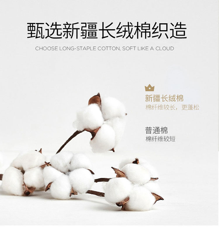 cfe94c0d-fe39-4e6a-9b48-c0f83ea456ac.jpe