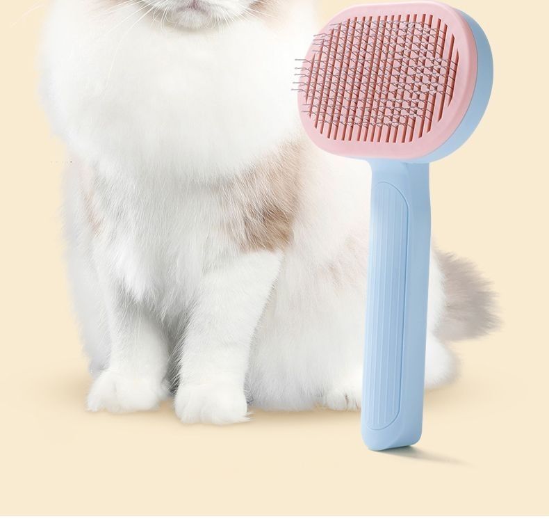 88ceec8a-48b6-4e13-8d2f-80c901371120.jpe