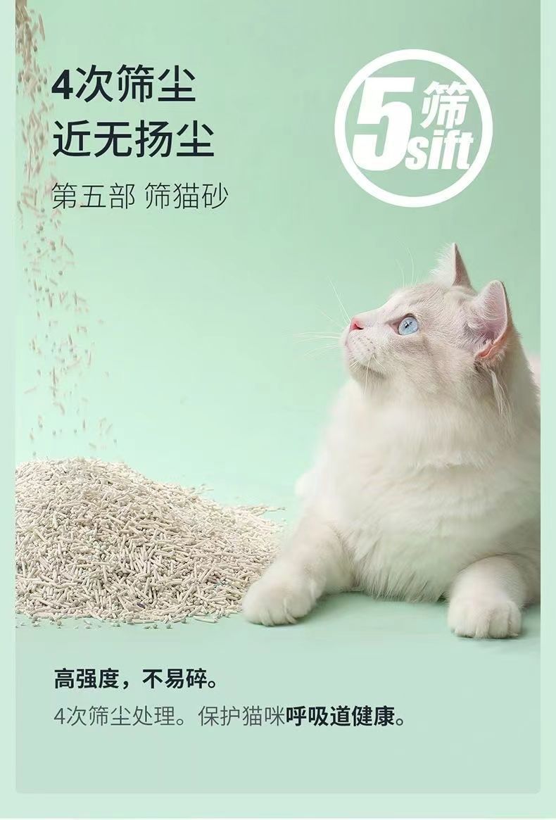 eb76bdf4-b9c2-4ae0-b8a6-45c494541ddc.jpe