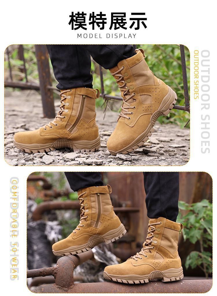 231d5546-b827-4733-bc6b-c4e237d79d8f.jpe