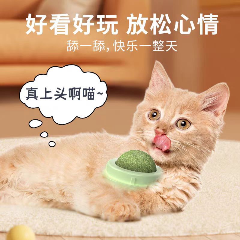 3b0a97bb148f402fb0aa51c7e15428