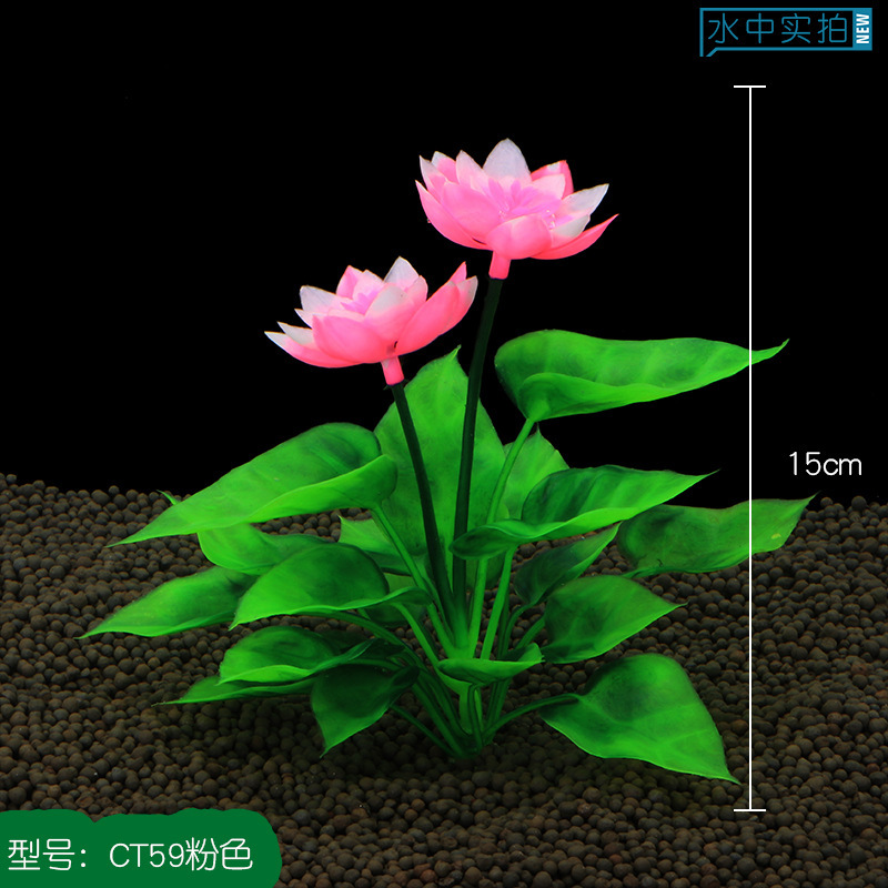 CT59粉色