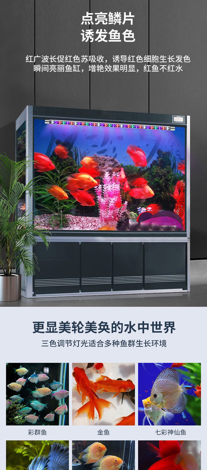 9da98ab0-e463-496f-8b24-c47ea9c2db97.jpe