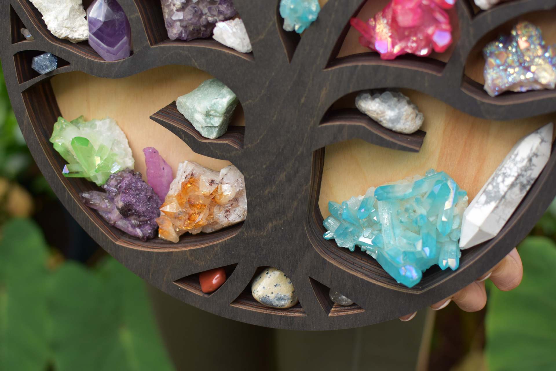 一键复制_20220929083112