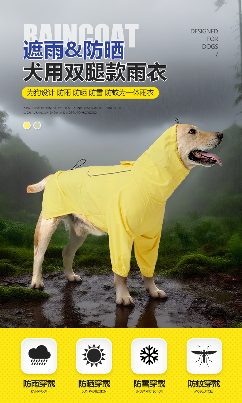雨衣_01.jpg
