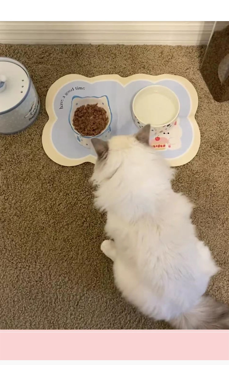 aa7e7417-01cf-4e91-a12d-9b79fab4cf6d.jpe