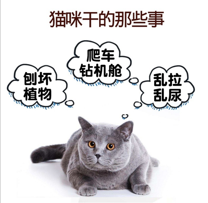 QQ图片20210922150404.jpg?x-oss-process=image/format,png