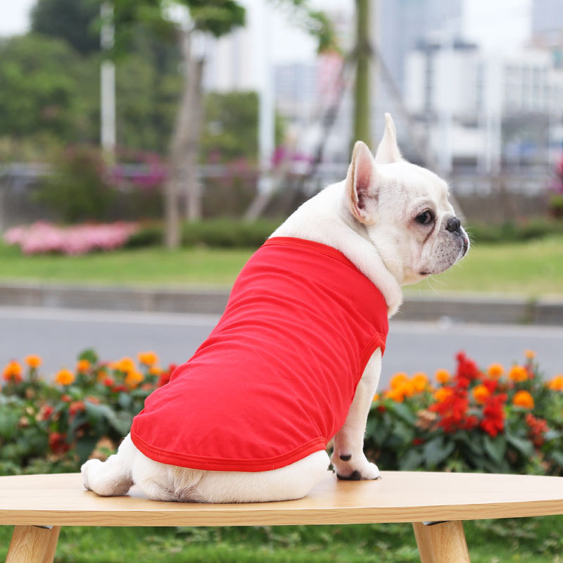 O1CN014h38301CLM1HnipyN_!!2098